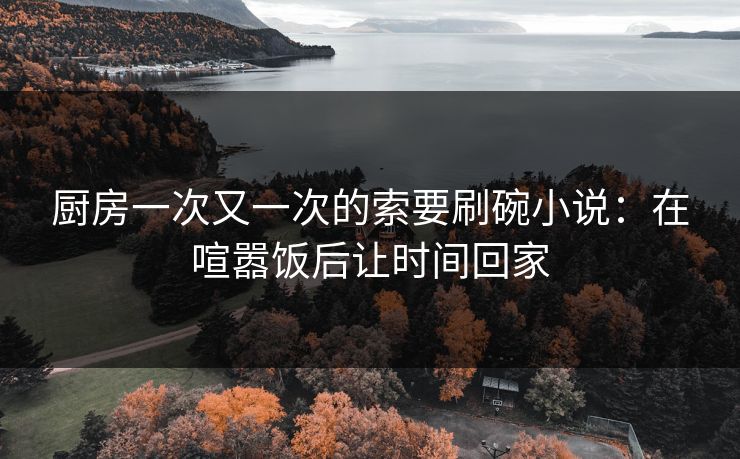 厨房一次又一次的索要刷碗小说：在喧嚣饭后让时间回家