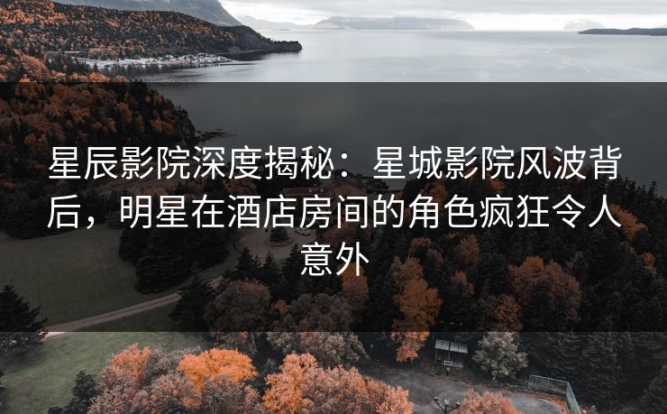 星辰影院深度揭秘：星城影院风波背后，明星在酒店房间的角色疯狂令人意外